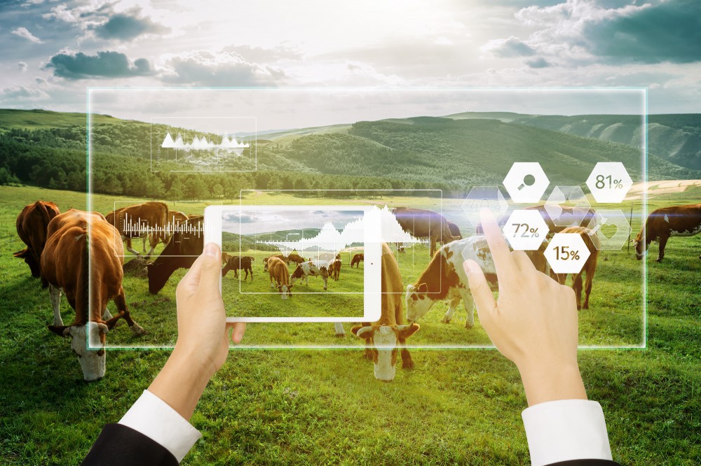 首页| CA88集团中国唯一官方网站