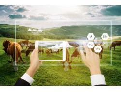 首页| CA88集团中国唯一官方网站